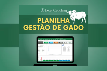 Planilha Gestão de Gado